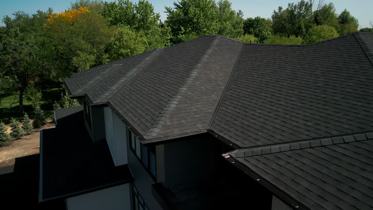 Best Chimney Flashing Repair  in Ocklawaha, FL