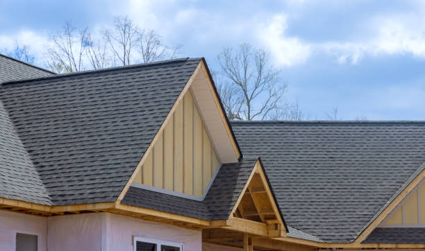 Best Roof Waterproofing  in Ocklawaha, FL