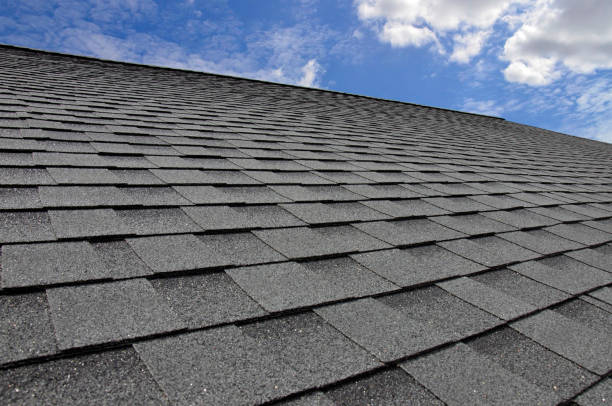 Best Gutter Replacement  in Ocklawaha, FL